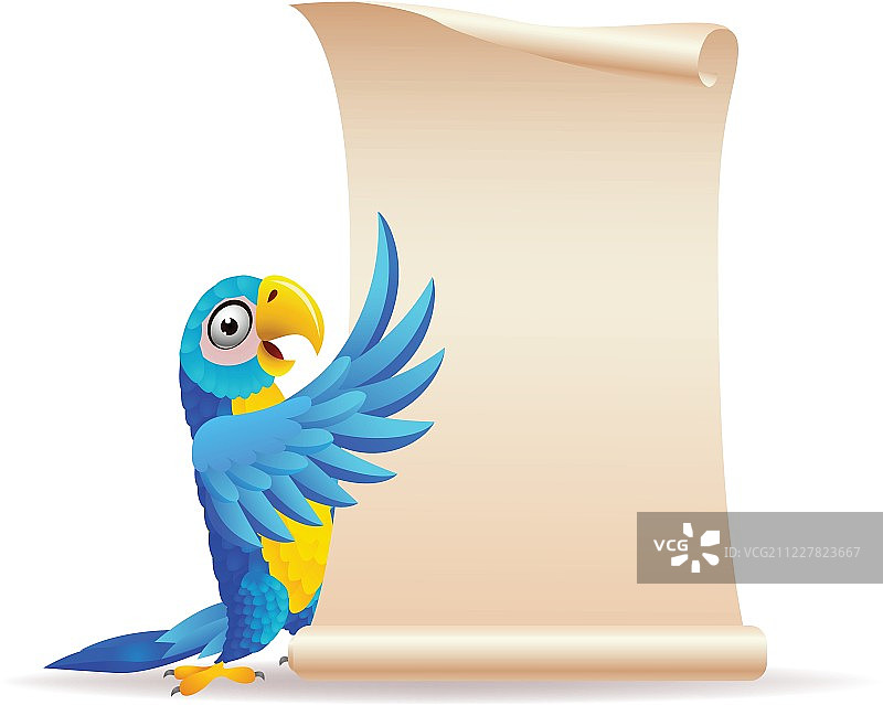 带有卷轴纸的金刚鹦鹉图片素材