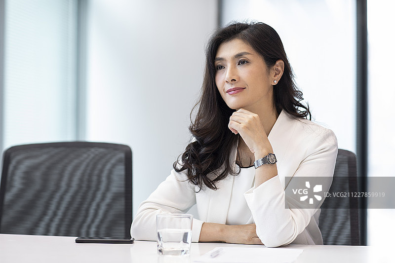 漂亮的商务女士在会议室图片素材