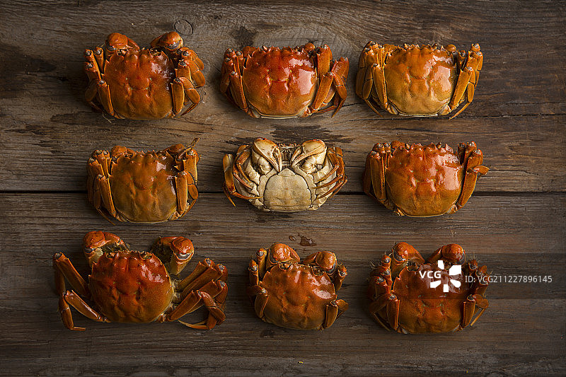 创意大闸蟹公和母静物图片素材