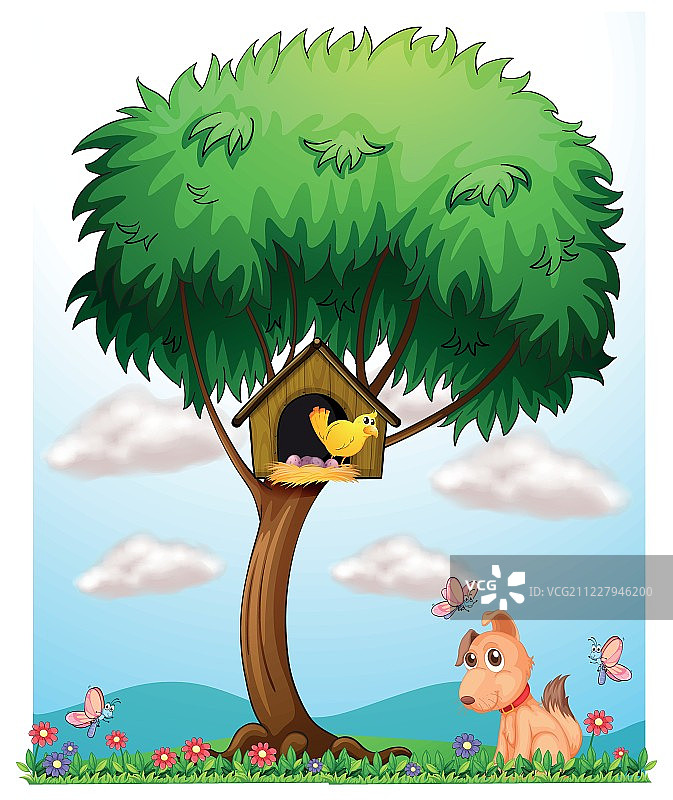 鸟、狗和蝴蝶图片素材