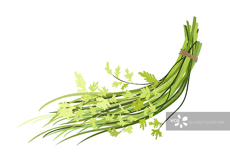 艾草图片素材