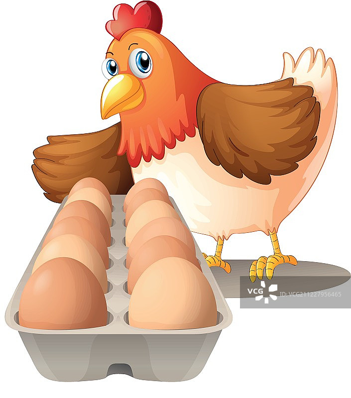 托盘里放着一只母鸡和她的蛋图片素材