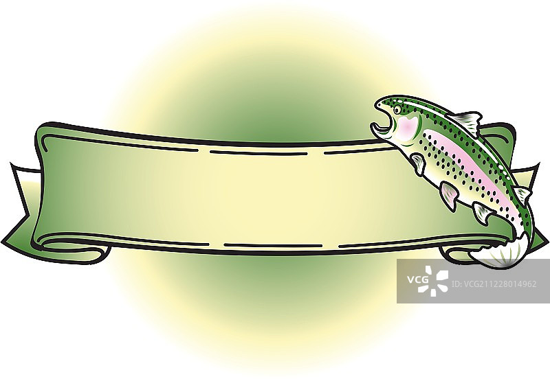 虹鳟鱼图片素材