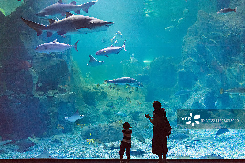 水族馆图片素材