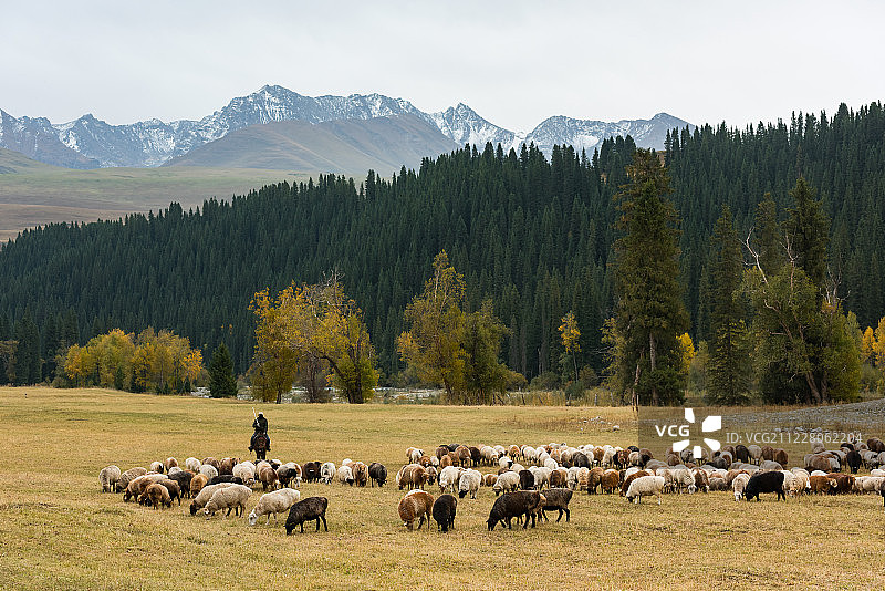 新疆喀拉峻草原秋季自然风光图片素材