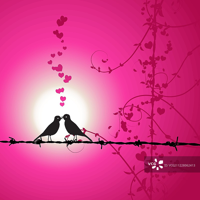 爱意，枝头亲吻的鸟儿图片素材