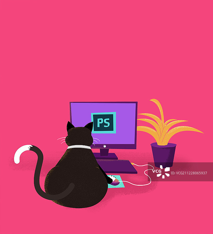 玩电脑的黑猫图片素材