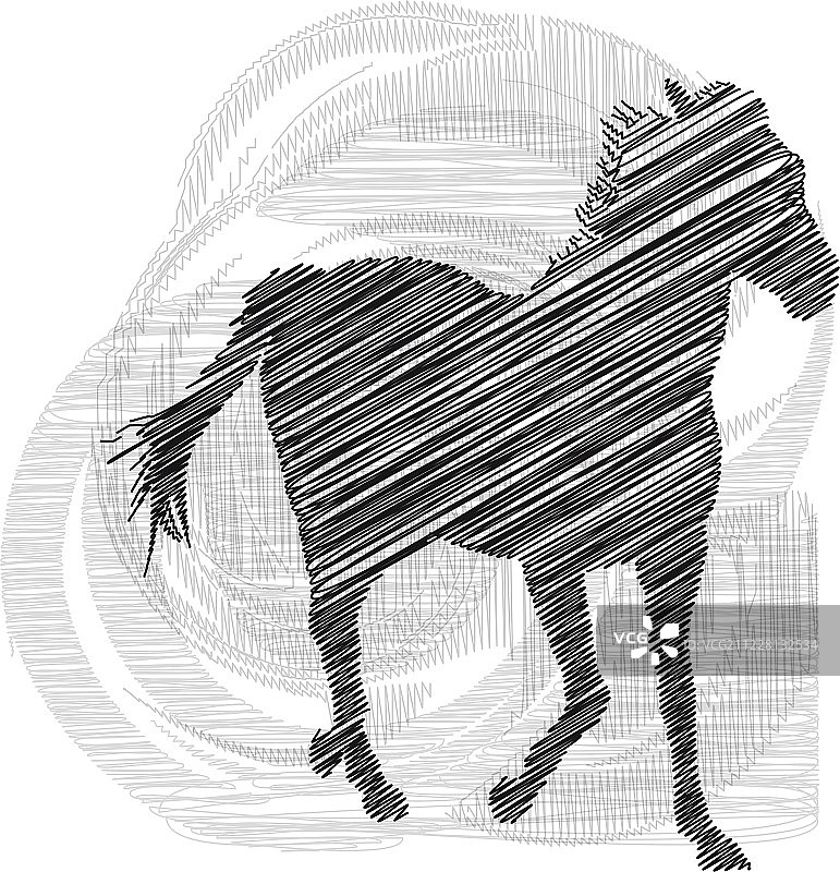 奔跑的骏马图片素材