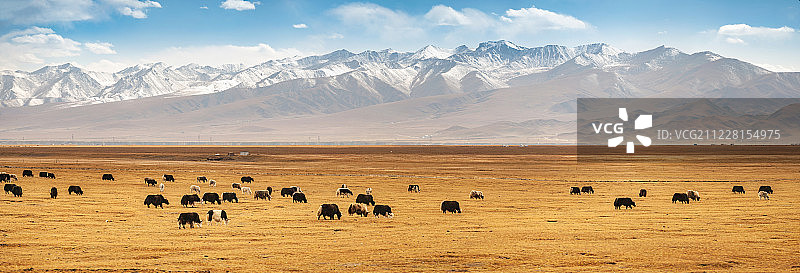 青海湖风光图片素材