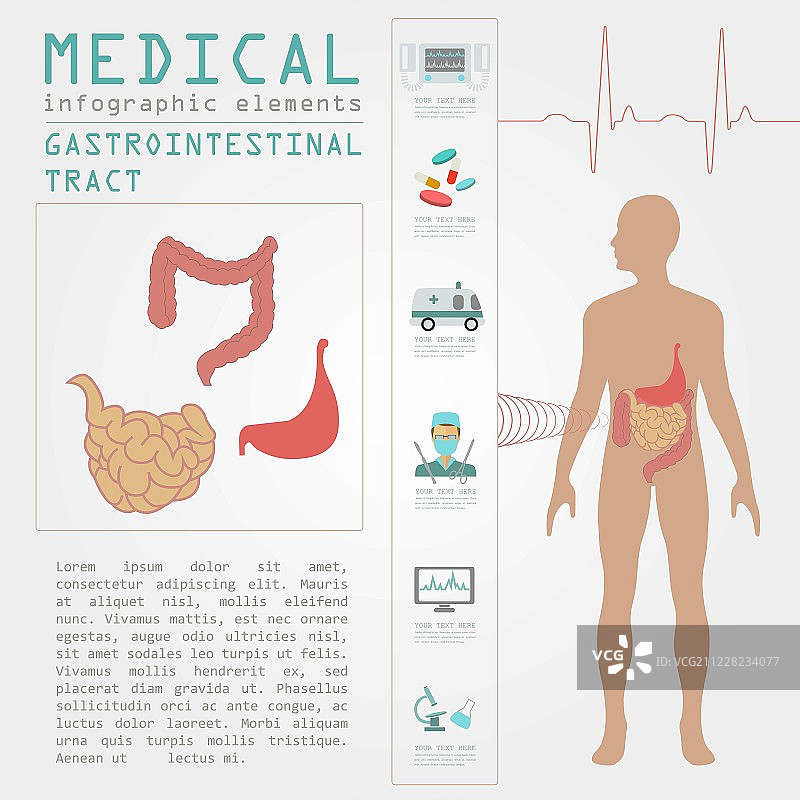 医疗保健信息图：胃肠道信息图图片素材