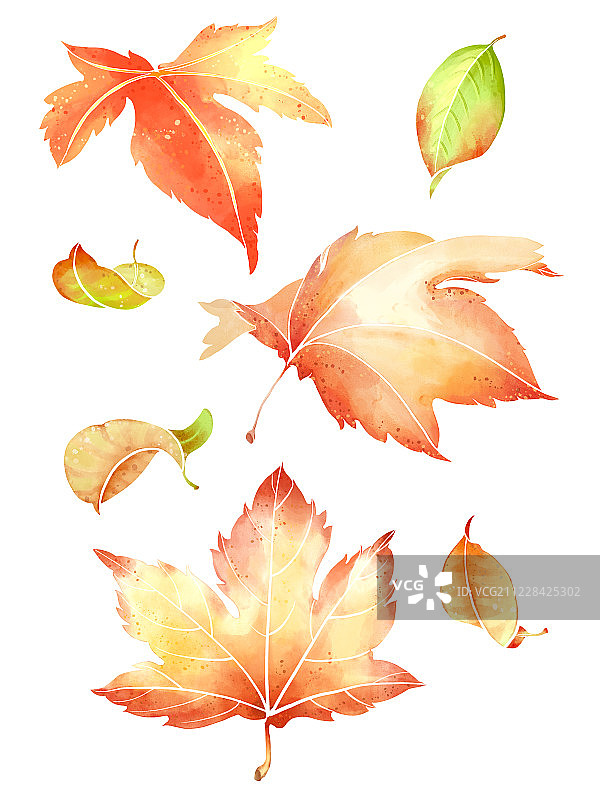 红色落叶图片素材