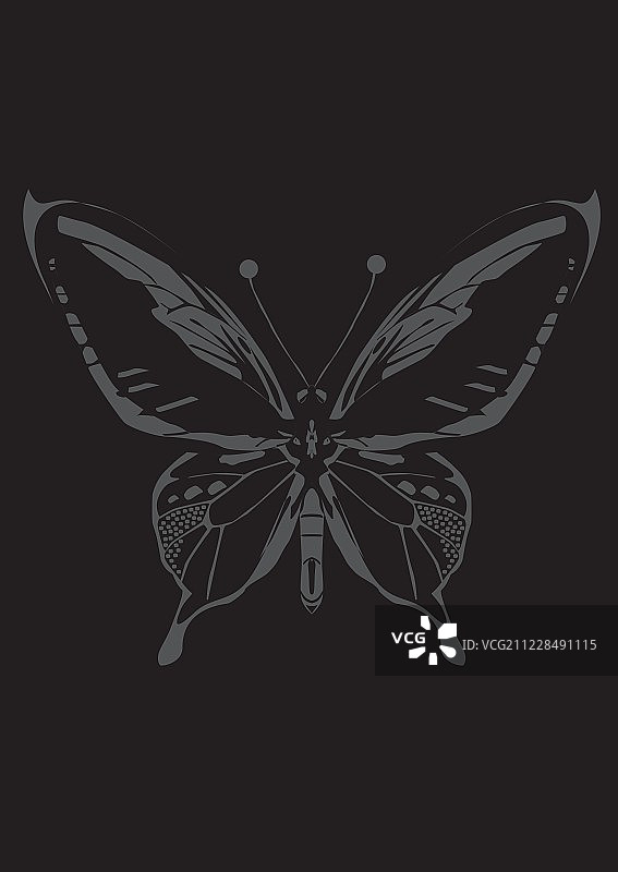 蝴蝶装饰元素图片素材