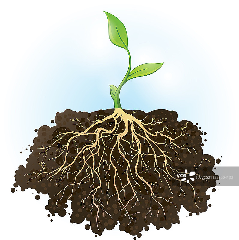 坚实的基础图片素材