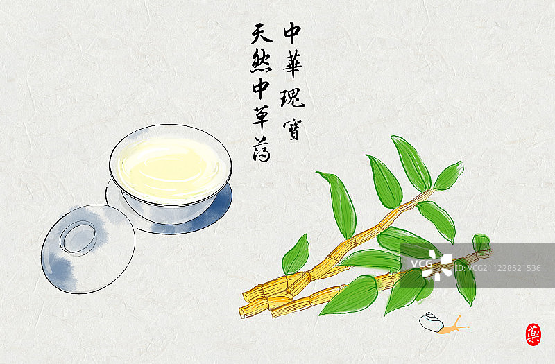手绘水彩画中草药铁皮石斛养生茶图片素材