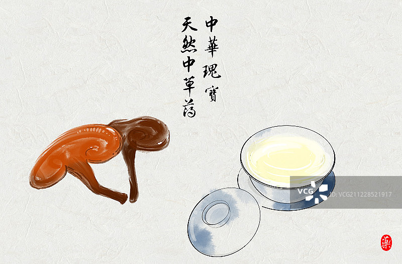 手绘水彩画中草药灵芝养生茶图片素材