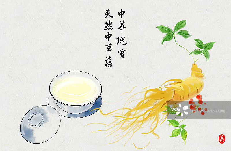 手绘水彩画中草药野生人参养生茶图片素材
