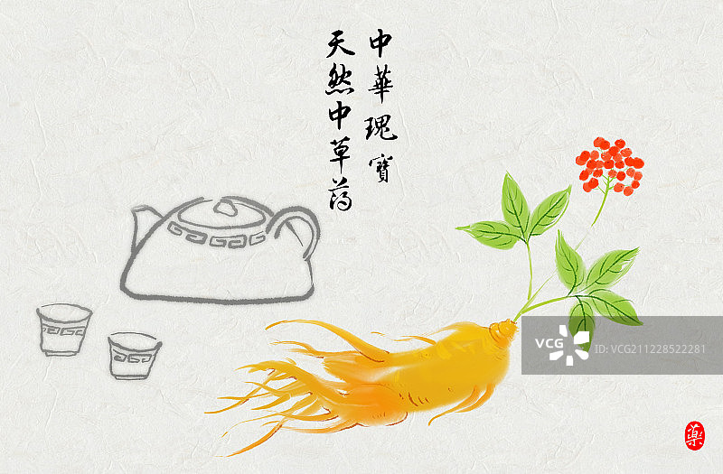 手绘水彩画中草药野生人参养生茶图片素材