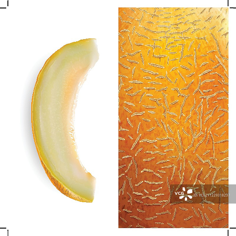 瓜片矢量图图片素材