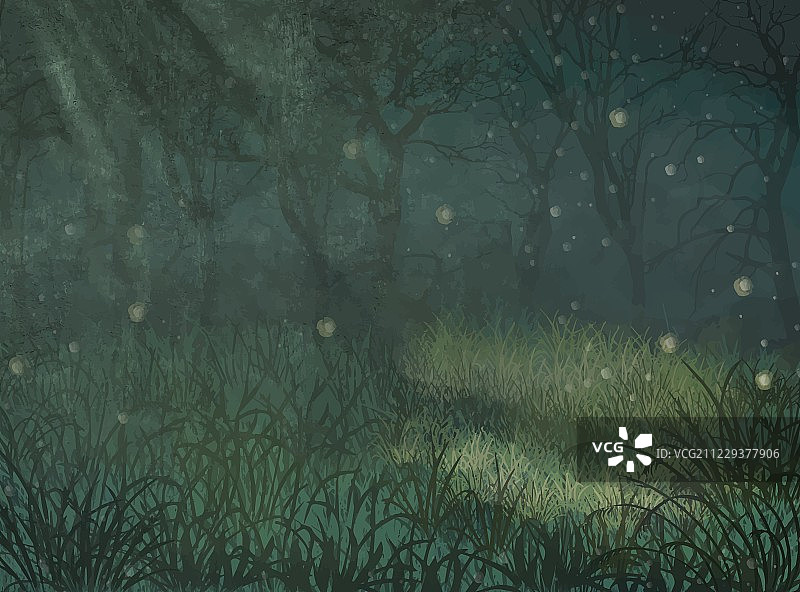 有复制空间的迷人森林背景图片素材