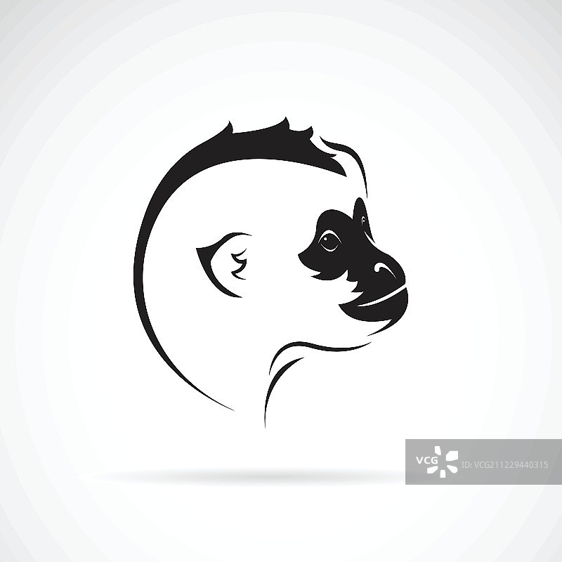 白色背景上的北方白颊长臂猿头部设计矢量图图片素材