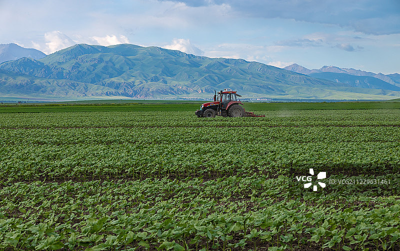现代农场的机械化耕作图片素材