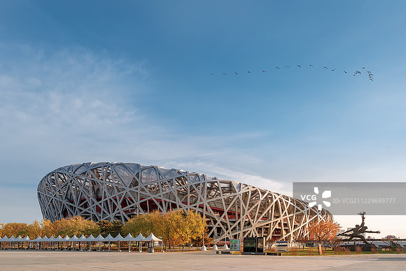 一群飞鸟飞过蓝天白云下的鸟巢体育馆图片素材
