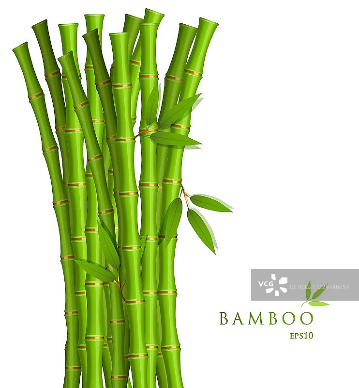 绿色竹子背景图片素材