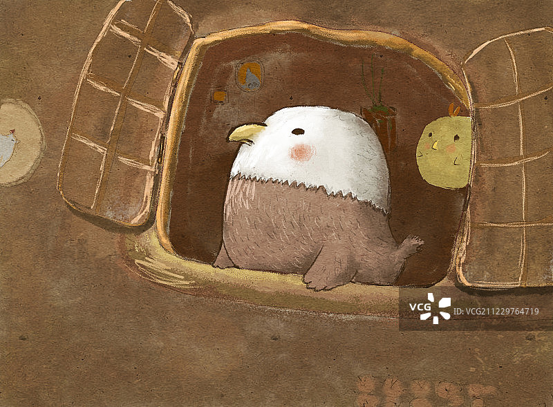 小鹰在鸡舍里渴望外面的天空图片素材