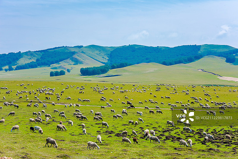 草原自然风光图片素材