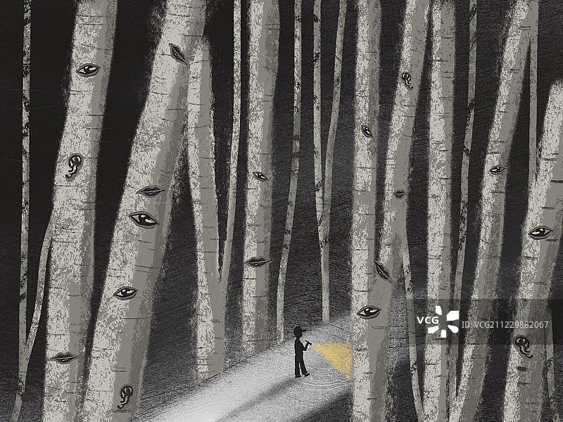 路过白桦林图片素材