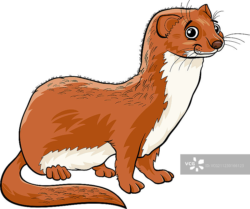 黄鼠狼动物卡通图片素材
