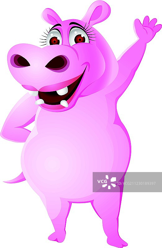 雌性河马图片素材