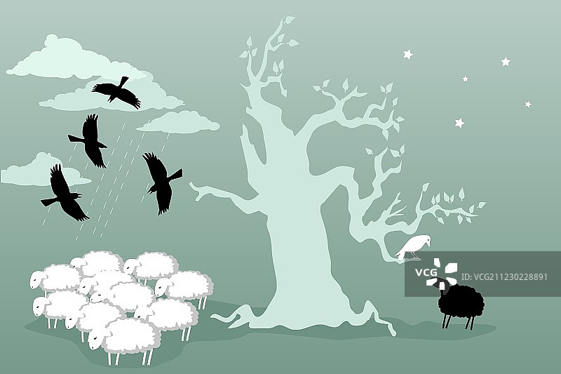 奇怪的鸟和黑羊图片素材
