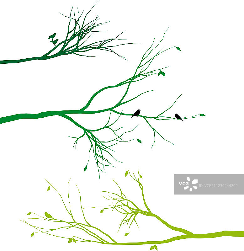 带有鸟和叶子的树枝图片素材