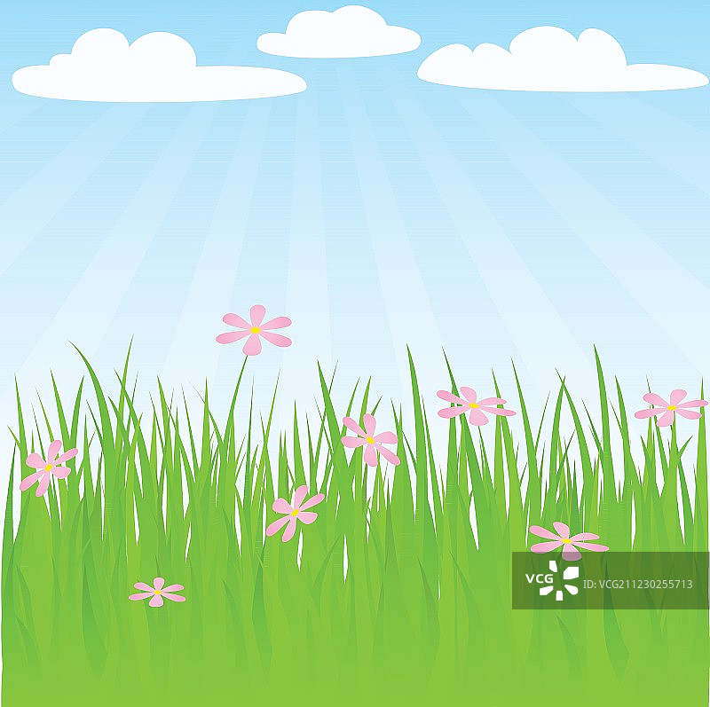 春天的背景图片素材