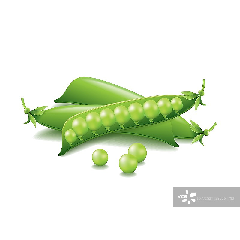 白色背景下的豌豆图片素材
