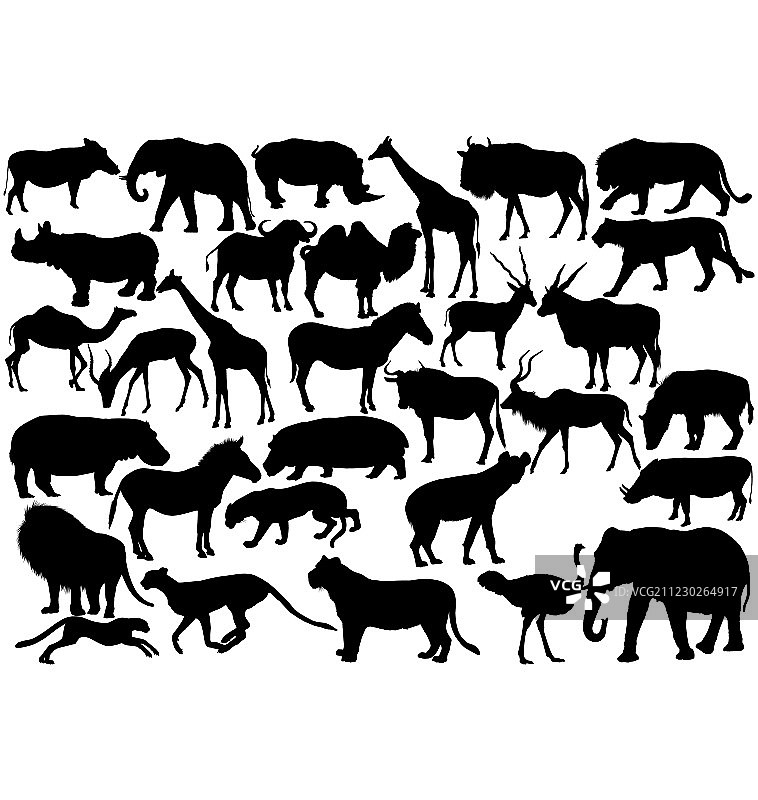 非洲野生动物剪影图片素材