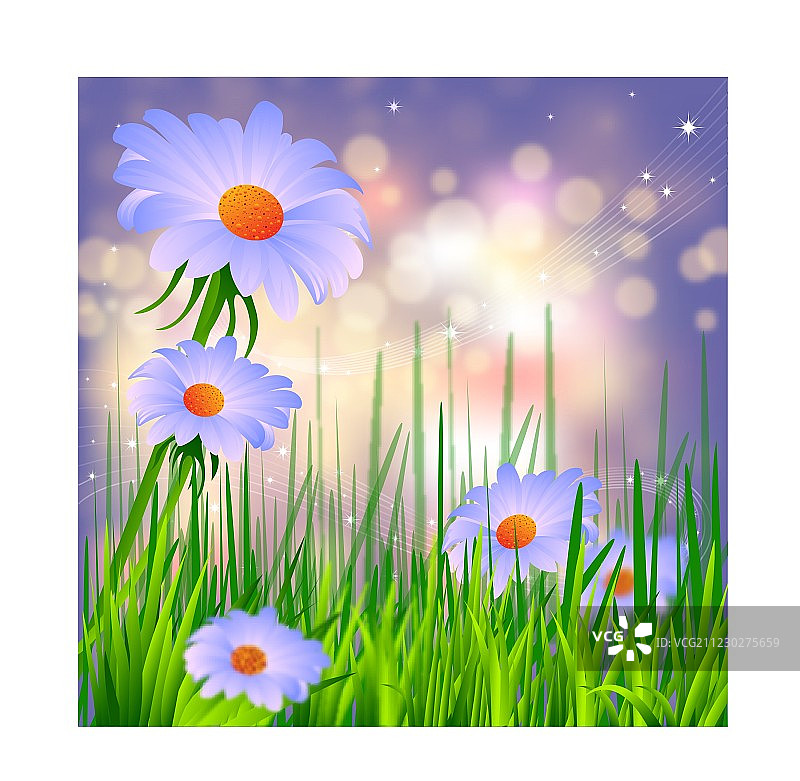 春天的背景图片素材