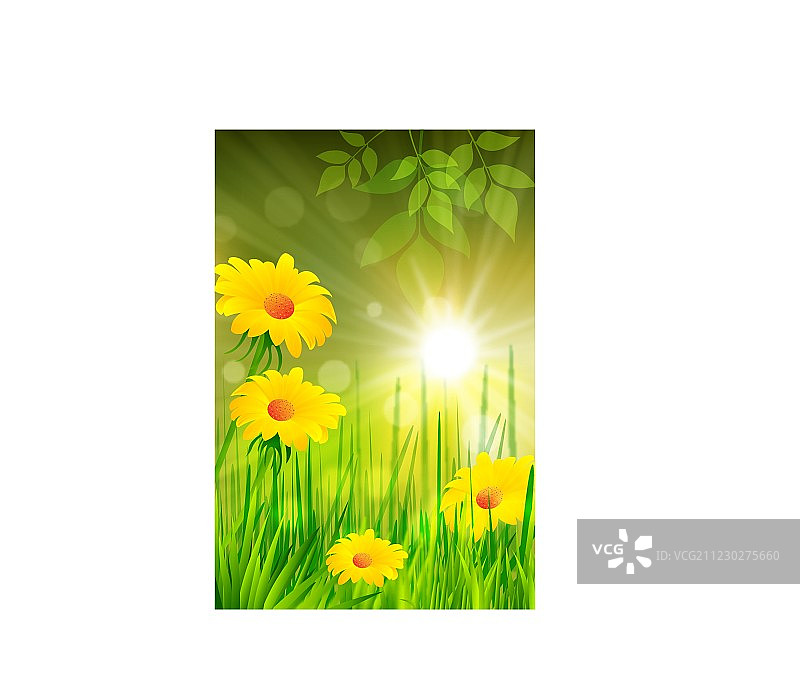 春天的背景图片素材