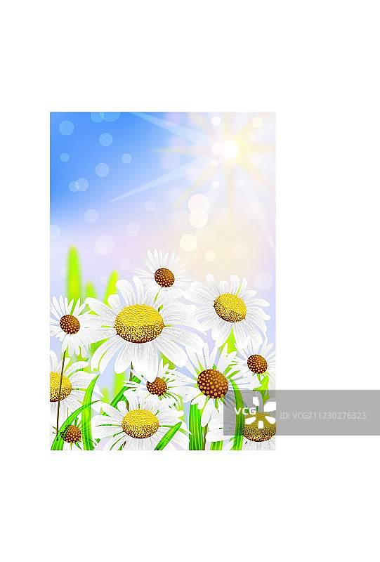 春天的背景图片素材