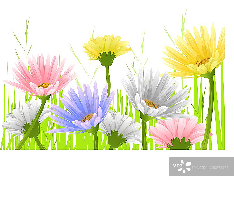 春天的背景图片素材