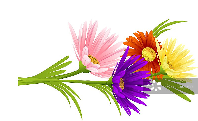 春天的背景图片素材