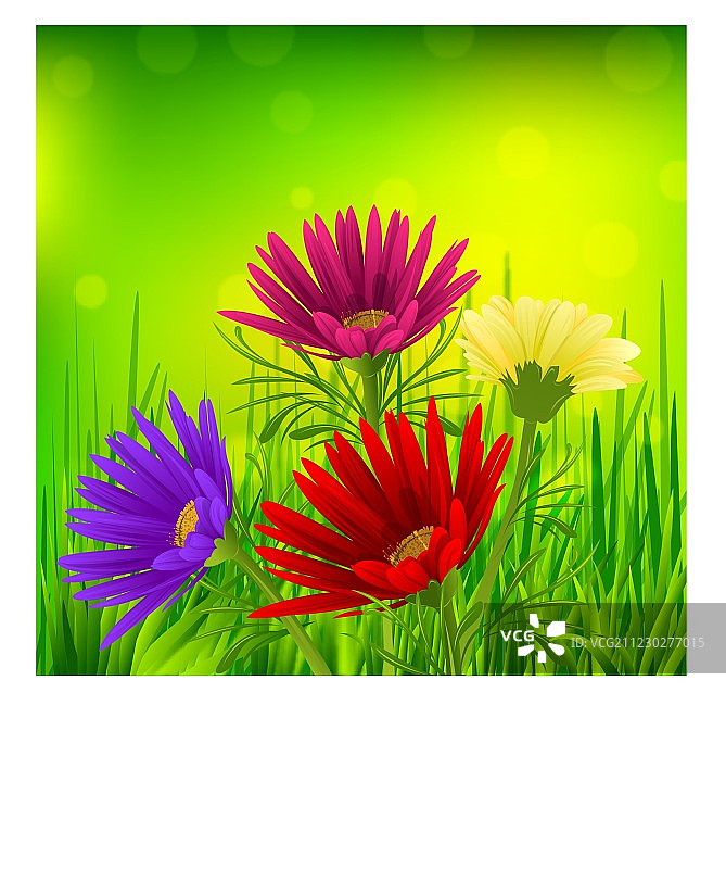 春天的背景图片素材