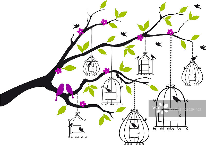 自由的鸟类和打开的鸟笼图片素材