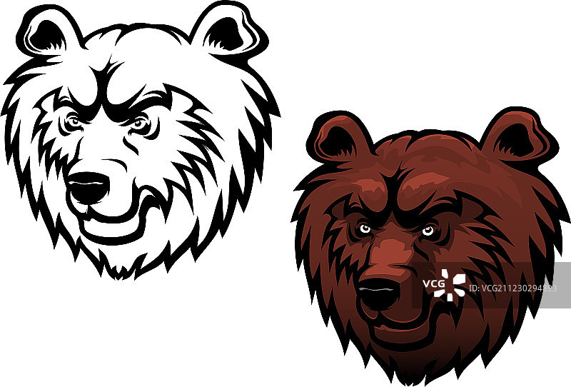 野生科迪亚克棕熊图片素材