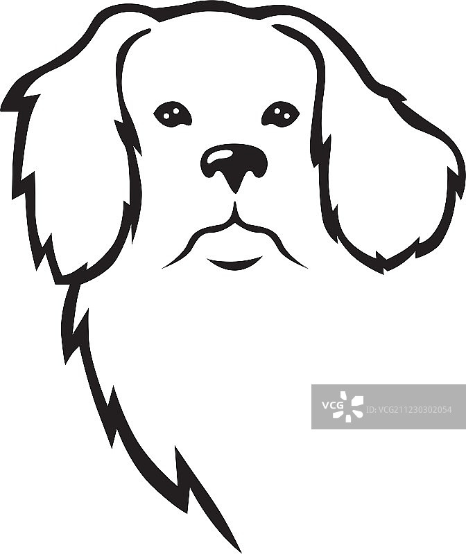 尼乌夫犬头图片素材