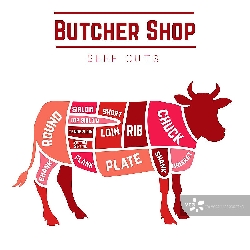 牛肉分割图图片素材