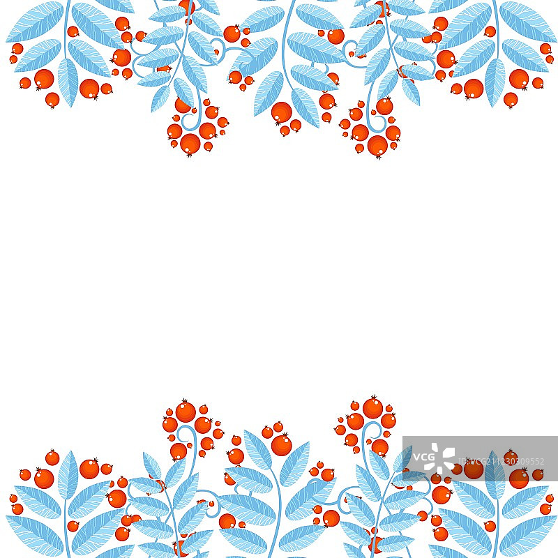 冬季装饰画框与花楸浆果图片素材