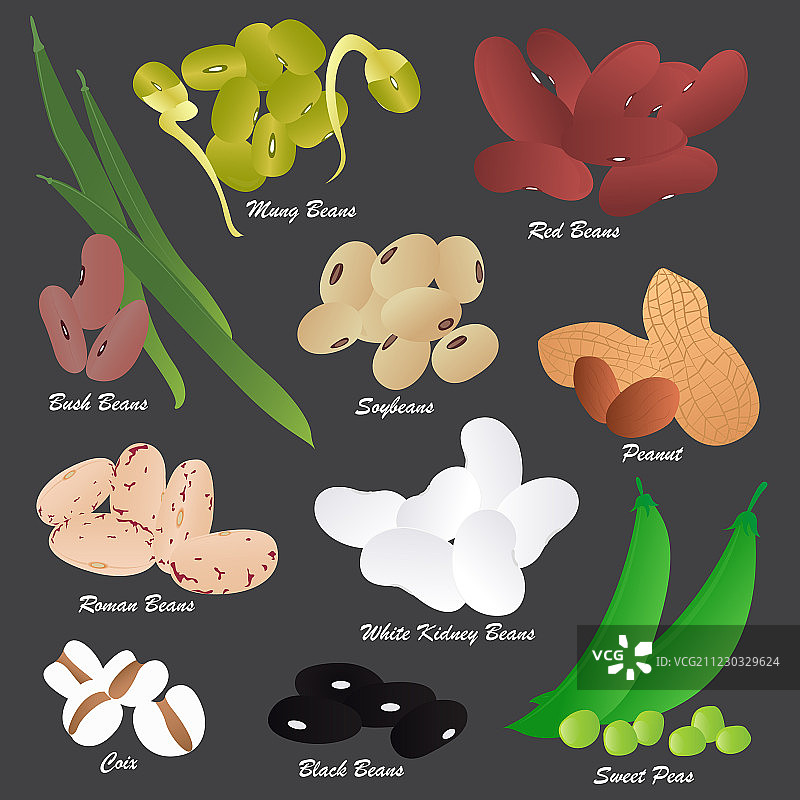 背景上的各种豆类图片素材