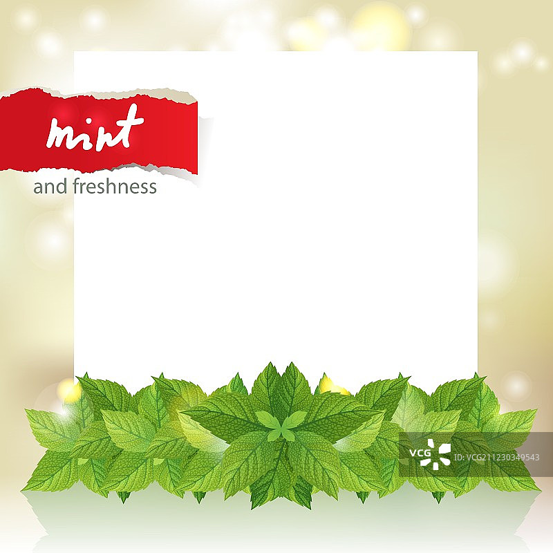 薄荷色边框图片素材